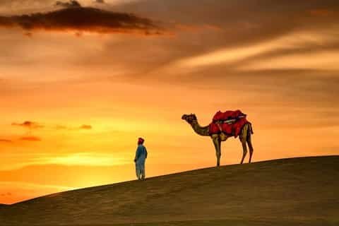 Golden dunes at sunset along a camel safari route